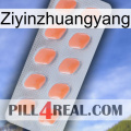 Ziyinzhuangyang 26